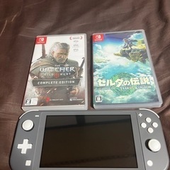 Nintendo Switch light グレー　ソフト2本