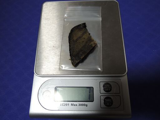 ★ツキノワグマ　胆嚢★ 7g熊 クマ　熊の胆