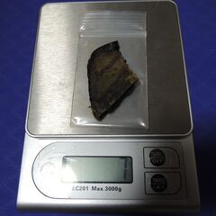★ツキノワグマ　胆嚢★ 7g熊 クマ　熊の胆