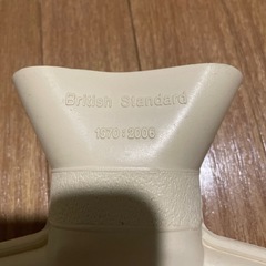 [未使用品]ピーチジョン 湯たんぽの画像