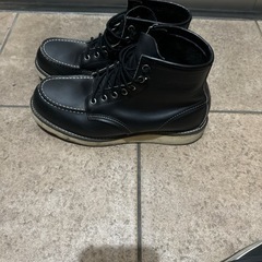 レッドウィングの画像