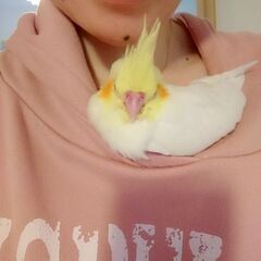 鳥好きな方とお友達になりたいです★