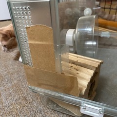 ハムスターゲージ
の画像