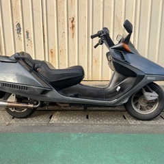 オシャレ！実働フュージョン250