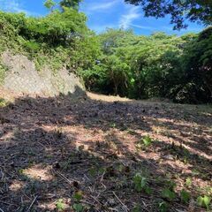 伊豆下田にキャンプ場を一緒に開拓しませんか？