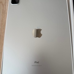 ipadpro 11 第2世代 256GB