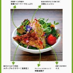 【イベント💐情報】11/24