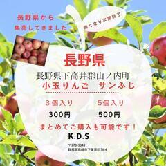 長野県産サンふじりんご🍎
