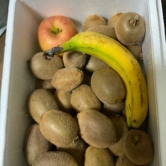 キウイフルーツ　大玉 1キロ　約8個　　Lサイズ 在庫限り 早い者勝ちの画像