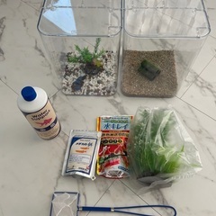 水槽2セット　メダカ　金魚　カルキ抜き餌付き