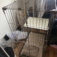 猫　ゲージの画像