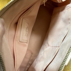 Samanthaベガ　バッグの画像