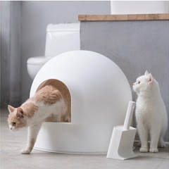 pidan 猫トイレの画像