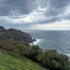 【今が旬!】カリン約1kgの画像