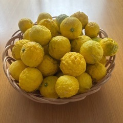 【完熟!】柚子約1kgの画像