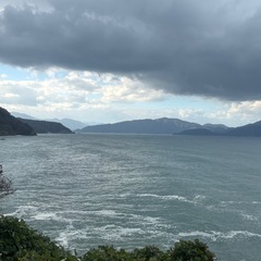 【完熟!】柚子約1kgの画像