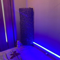 LED照明　熱帯魚　大型水槽用　部屋用　車載　車内　イルミネーシ...