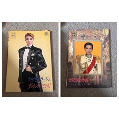 宝塚プログラム　9作品の画像