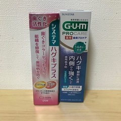 新品未開封 歯磨き２つセット　