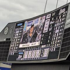 千葉ロッテ観戦仲間募集中です〜!!