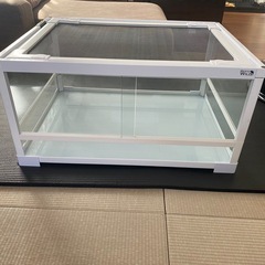 爬虫類　ケージの画像