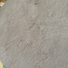 決まりました！ニトリで購入! もふもふだった?ラグ