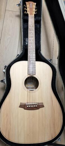 Cole Clark アコースティックギター CCFL2E-BB