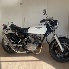 エイプ100の画像