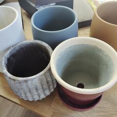 植物　鉢　まとめ売りの画像