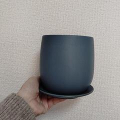 植物　鉢　まとめ売りの画像