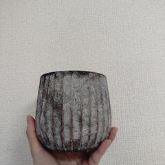 植物　鉢　まとめ売りの画像