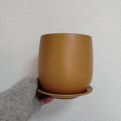 植物　鉢　まとめ売りの画像