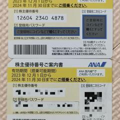 ANA 株主優待　搭乗期限2024年11月30日