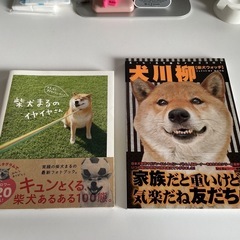 犬猫写真集など（まとめて）の画像