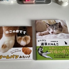 犬猫写真集など（まとめて）の画像