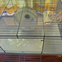 小動物ゲージ
