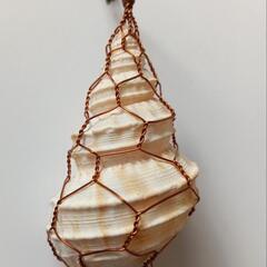 貝の飾り🐚手作りの一点物✨セットの画像