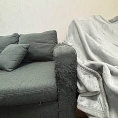 【無料でお譲りします】ソファ11/24取引可能の画像