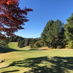 ⛳️ゴルフ友達募集⛳️