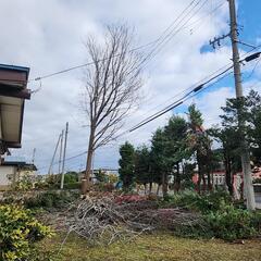 草刈り 庭木 伐採 - 青森市