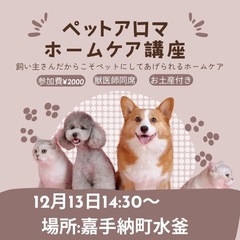 獣医師来場ペットアロマ講座のお知らせ