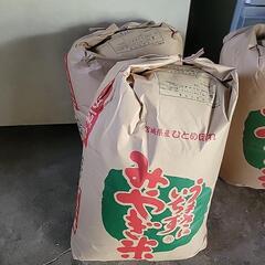 追加！本日11月24日引き取り可能なかた！！！令和6年新米【ササニシキ30キロ1体・ひとめぼれ30キロ1体】玄米