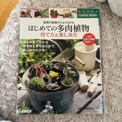 ⭐︎はじめての多肉植物⭐︎