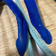 みさとっ子 18cmの画像