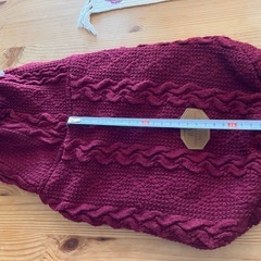 犬服☆アウターレッドの画像