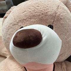 コストコ　巨大！クマのぬいぐるみ！！
