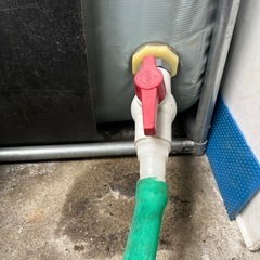 値下げ・ジャンボいけす。の画像