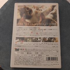 にゃんこTHE MOVIEの画像