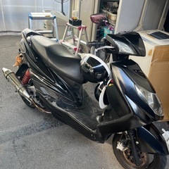 シグナスの画像