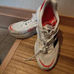 ADIDAS BOSTON10 25.5cmの画像